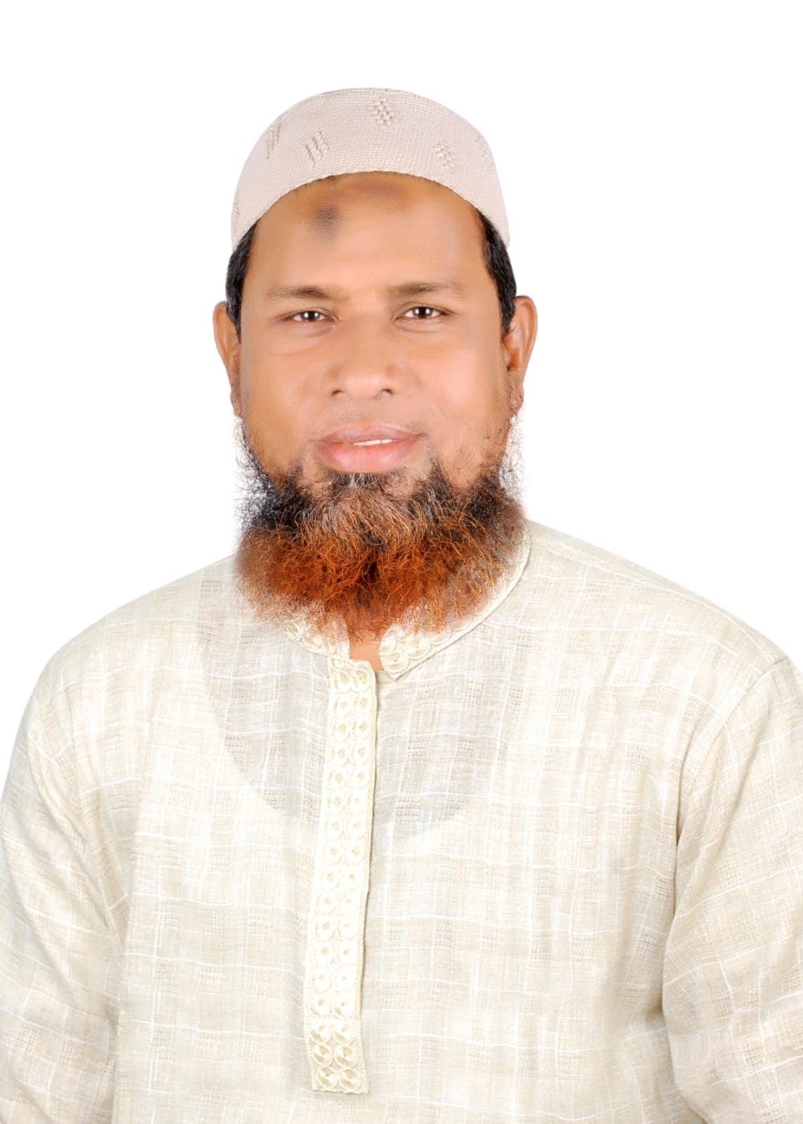 Md. Shajalal Ansari